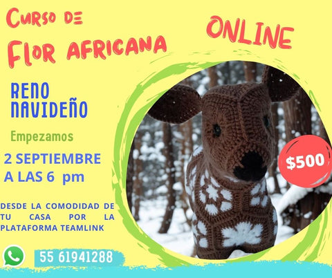 🎄✨ CURSO ONLINE: RENO NAVIDEÑO FLOR AFRICANA 🎄✨
