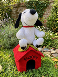 🐶🐈‍⬛ PATRÓN (INSTRUCTIVO) SNOOPY FLOR AFRICANA 🐶🐈‍⬛